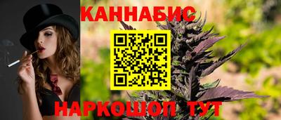 Альфа ПВП Обь