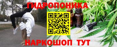 Альфа ПВП Обь