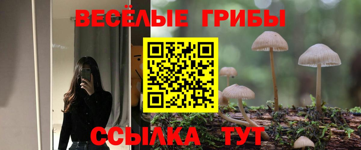 Псилоцибиновые грибы MAGIC MUSHROOMS Топки